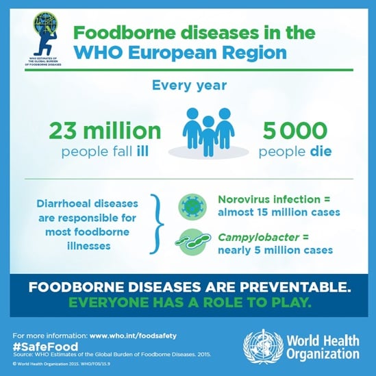 Foodborne diseases in the WHO European Region
