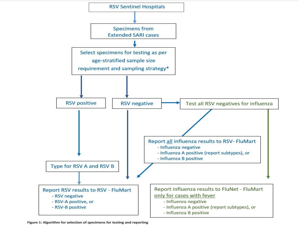 Sampling_strategy_phase2