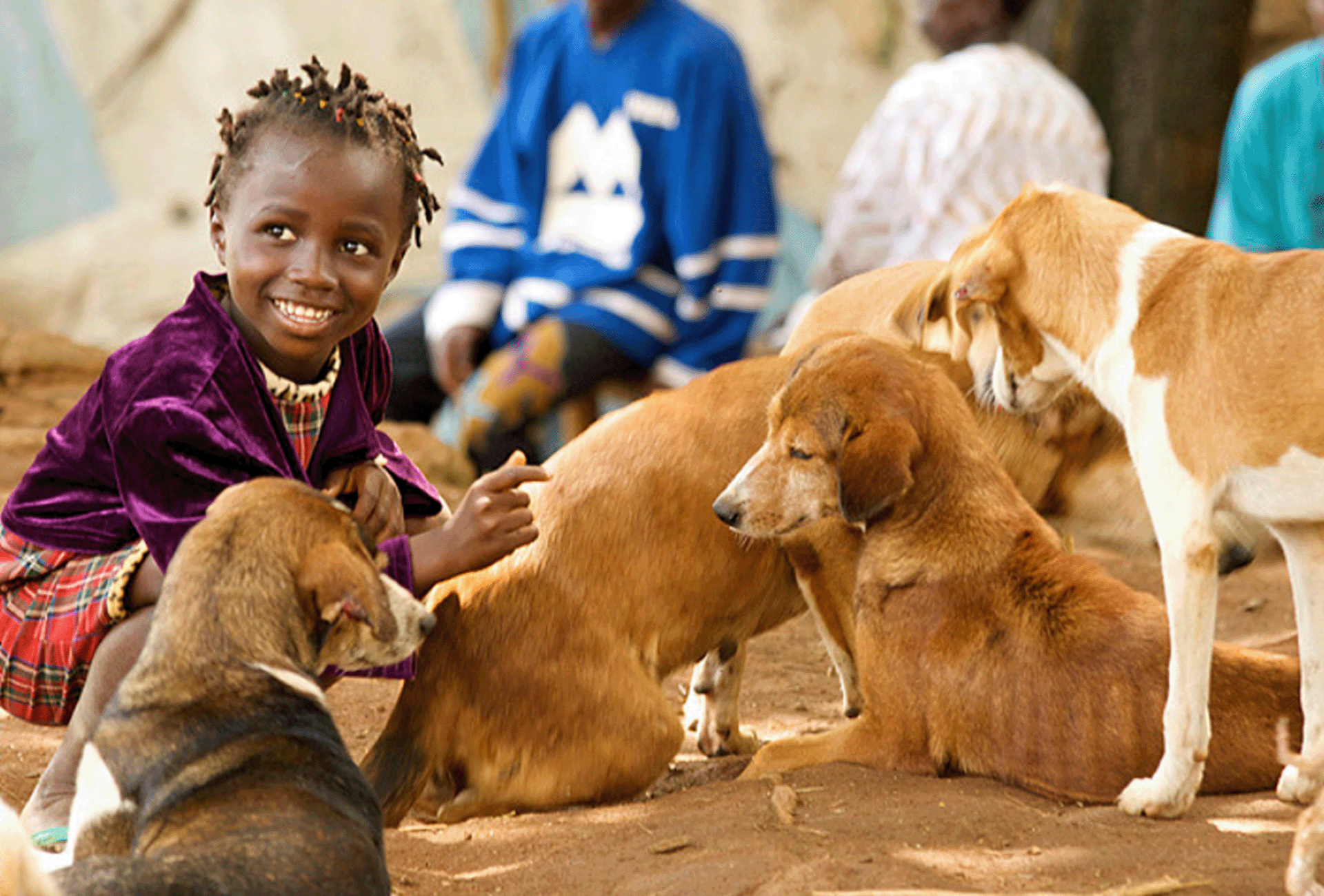 Dog-mediated rabies kills tens of thousands of people every year, many of whom are children