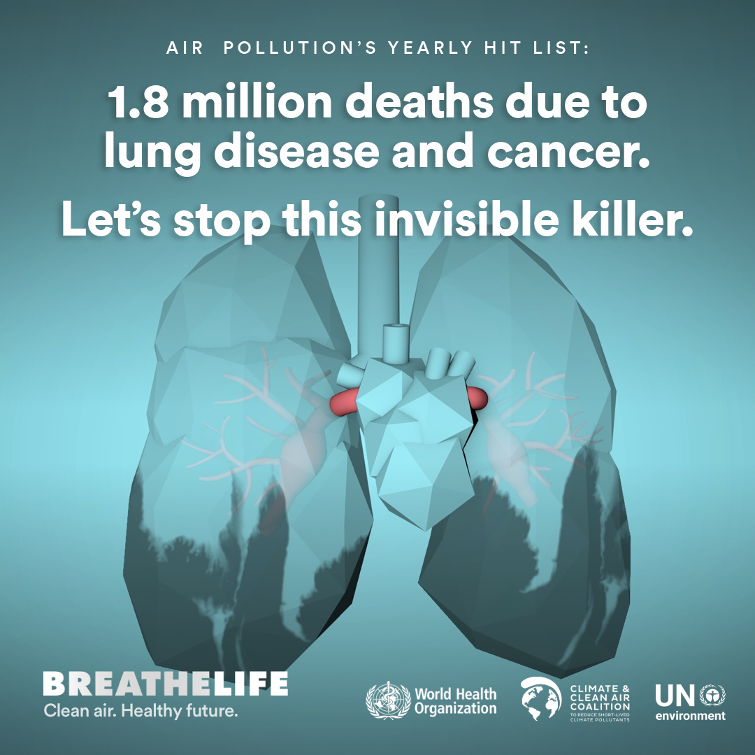 Air pollution causes 1.7 million deaths due to lung disease and cancer every year.