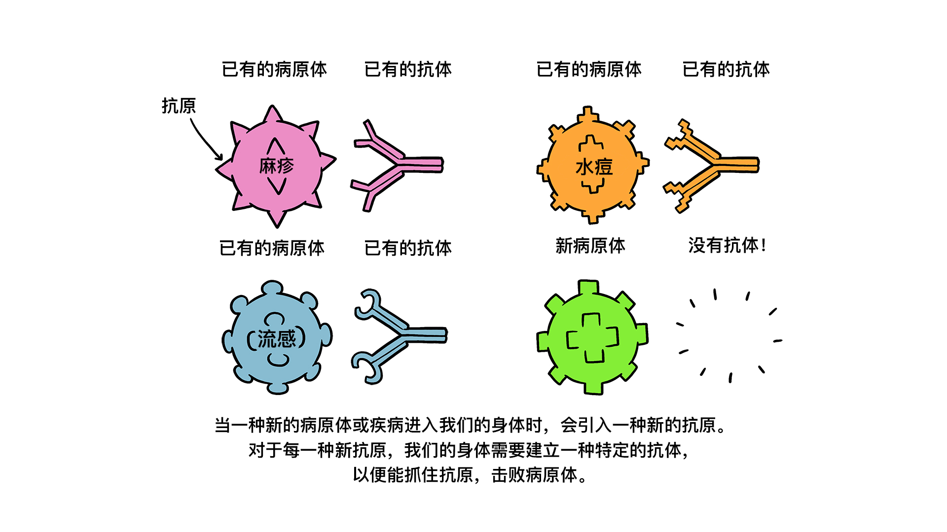 图示病原体、抗原、抗体
