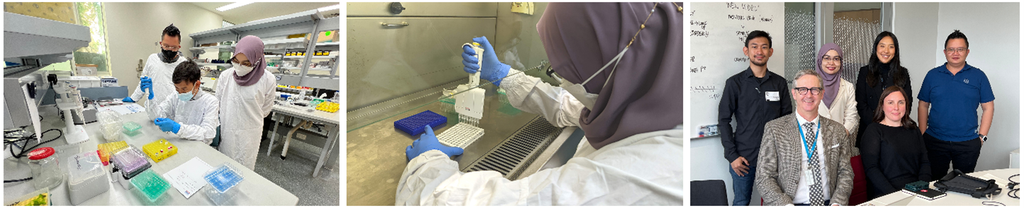 Bioinformatic training