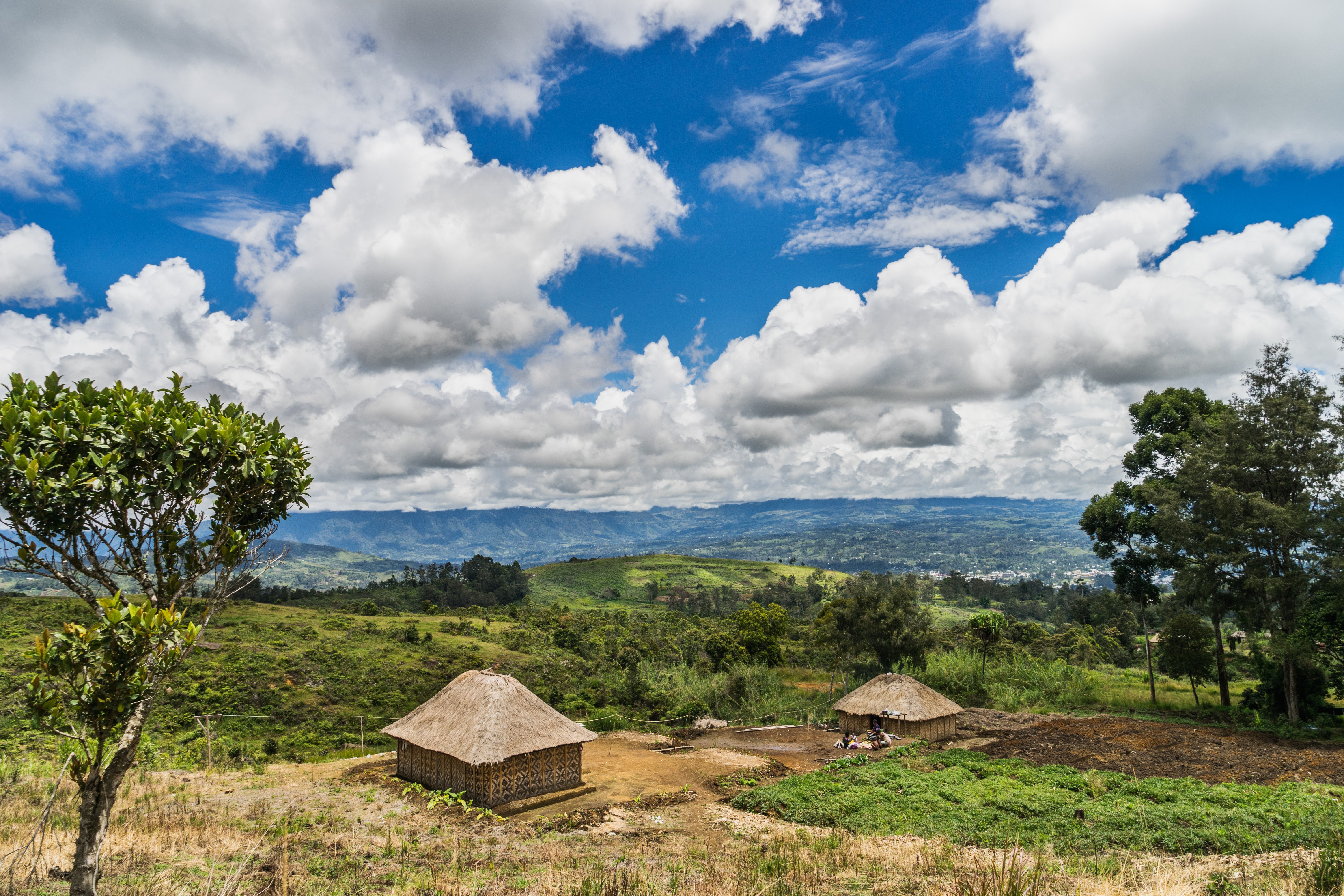 F23_090042016_PN_01914